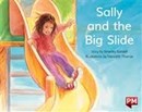 Image for PM RED SALLY THE BIG SLIDE PM STORYBOOKS