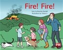 Image for PM YELLOW FIRE FIRE PM STORYBOOKS LEVEL