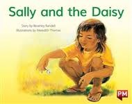 Image for PM RED SALLY & THE DAISY PM STORYBOOKS L