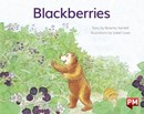 Image for PM YELLOW BLACKBERRIES PM STORYBOOKS LEV