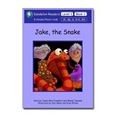 Image for Phonic Books Dandelion Readers Vowel Spellings Level 3 (Four to five vowel teams for 12 different vowel sounds ai, ee, oa, ur, ea, ow, b‘oo’t, igh, l‘oo’k, aw, oi, ar) : Decodable books for beginner r